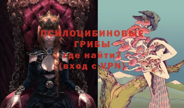 бошки Алзамай