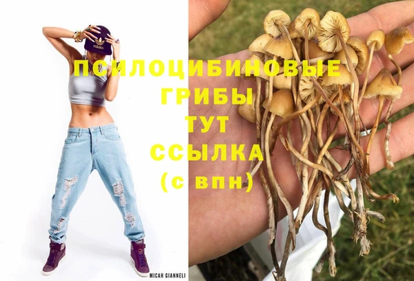 a pvp Алексеевка