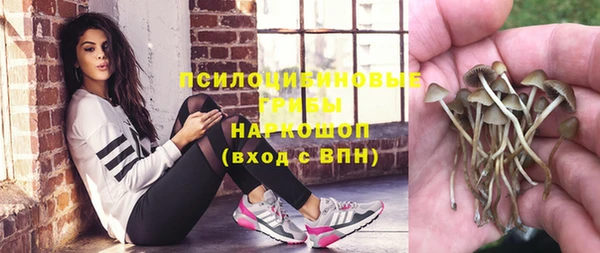 бошки Алзамай